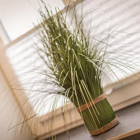 Witthues - Domizil Austernfischer - Exklusiv, Strand- Und Zentrumsnah アパート *